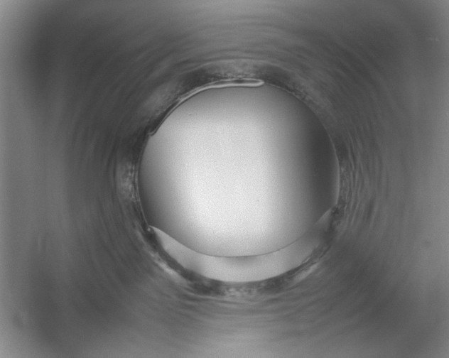 X0000054370141200508191856