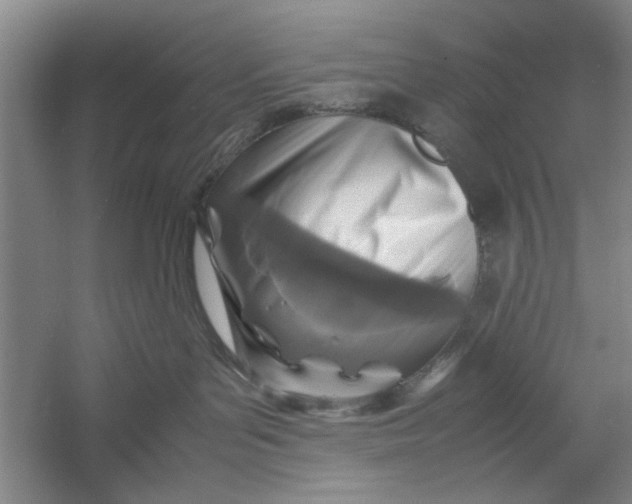 X0000054370143200508191856