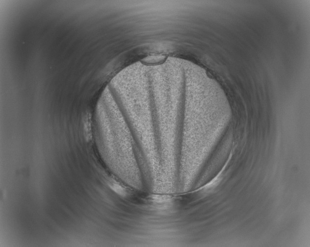 X0000054370144200508191856