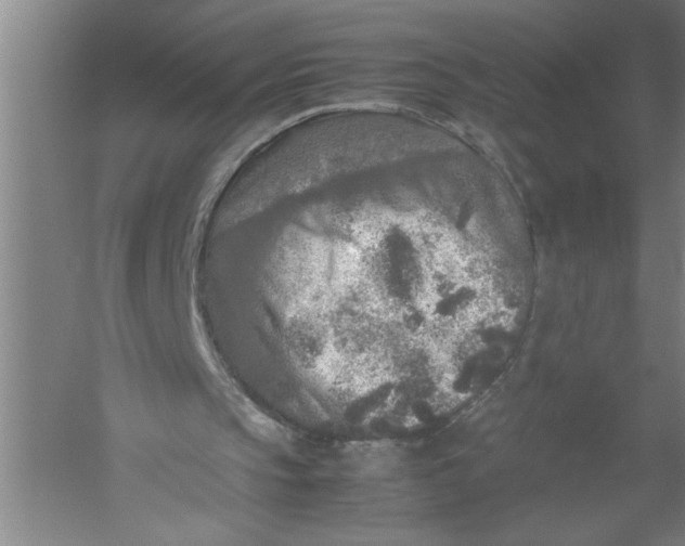 X0000054370145200508191855