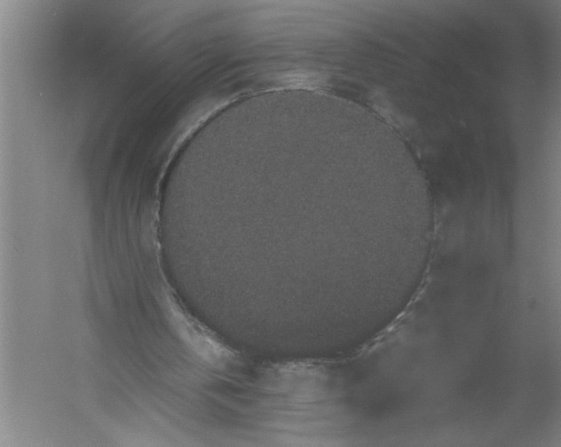 X0000054370146200508191855