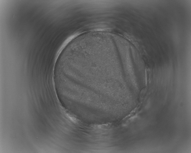 X0000054370147200508191855