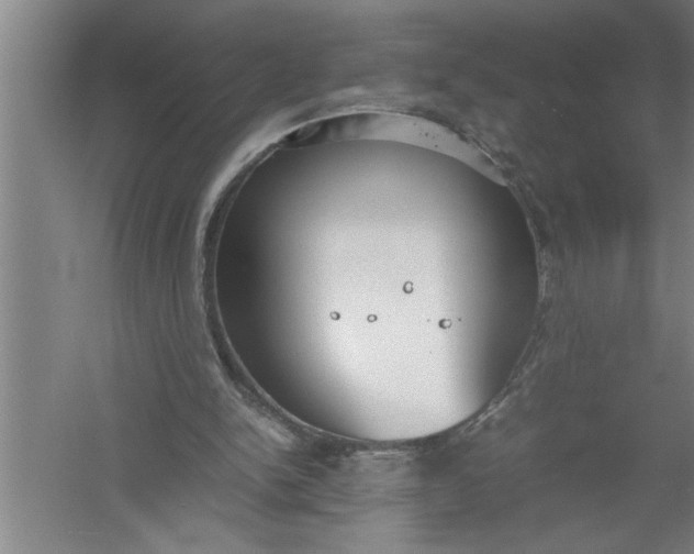 X0000054370150200508191855