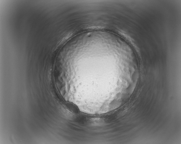 X0000054370153200508191855