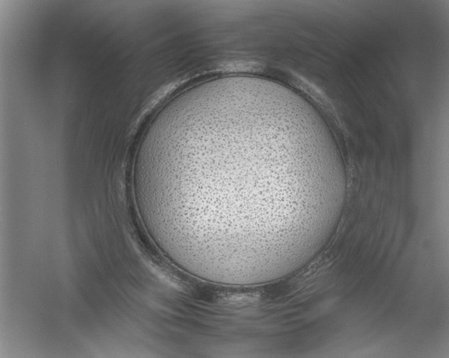 X0000054370155200508191855