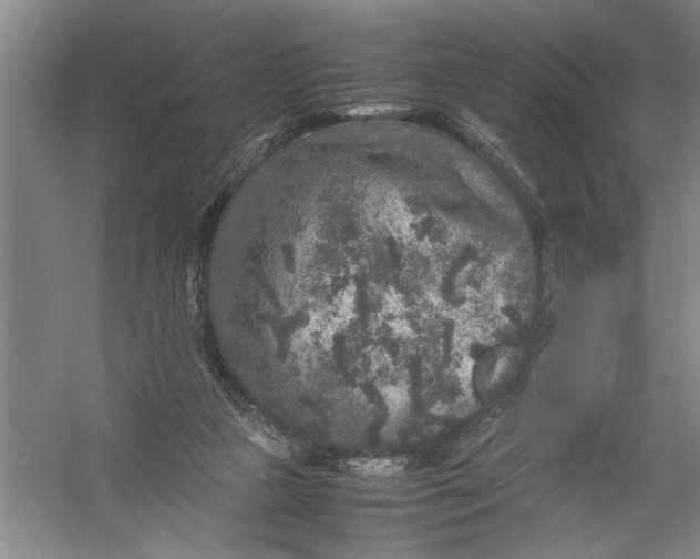 X0000054370161200508191855