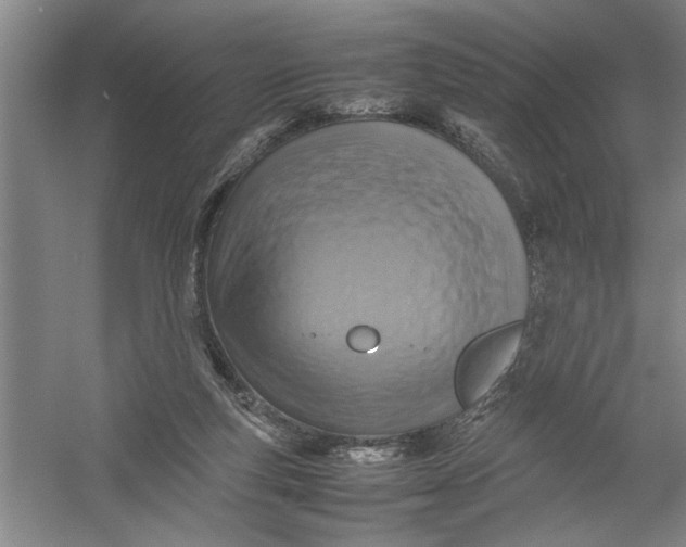 X0000054370163200508191855