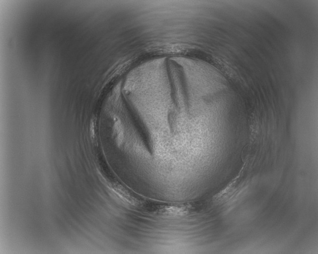 X0000054370166200508191856