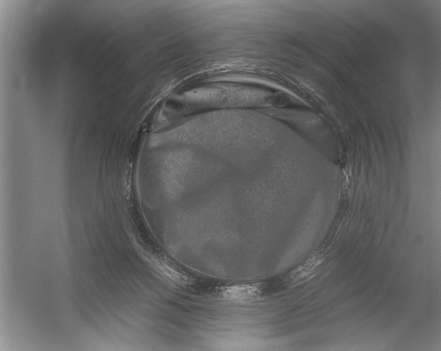 X0000054370168200508191856