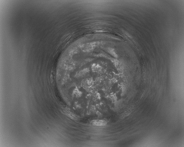 X0000054370169200508191856