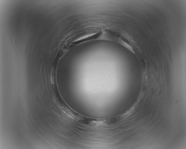 X0000054370170200508191856