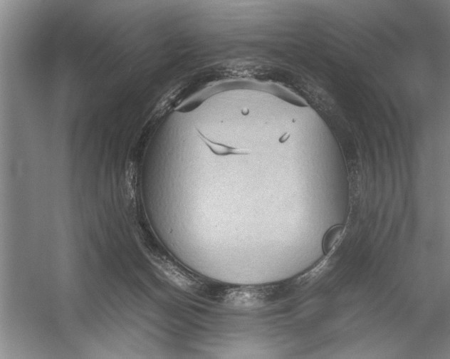 X0000054370174200508191856