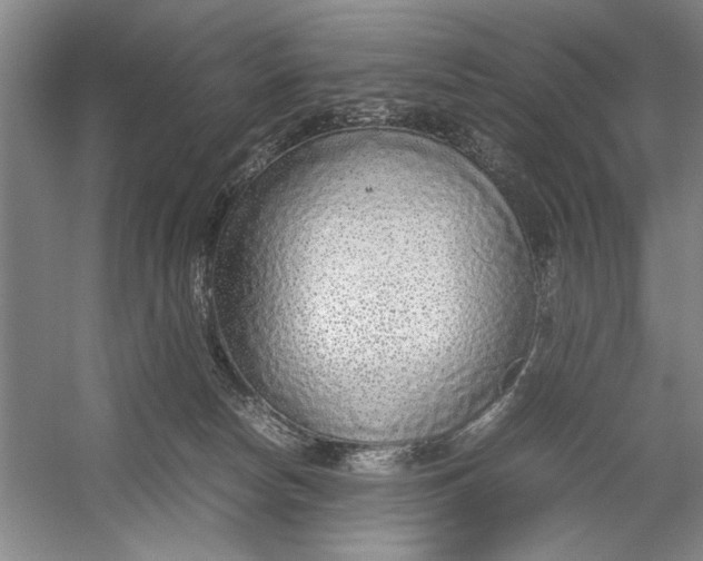 X0000054370178200508191856