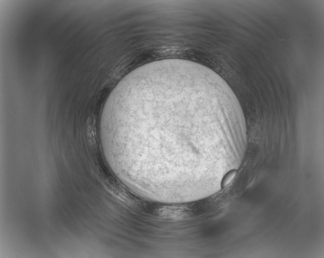 X0000054370179200508191856