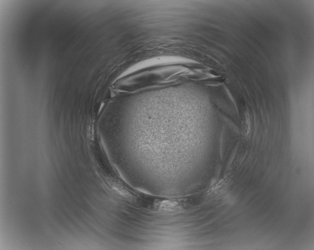 X0000054370180200508191856