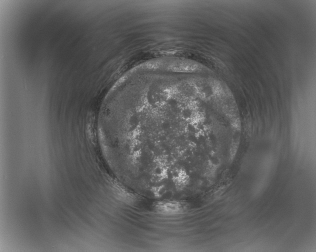 X0000054370181200508191856