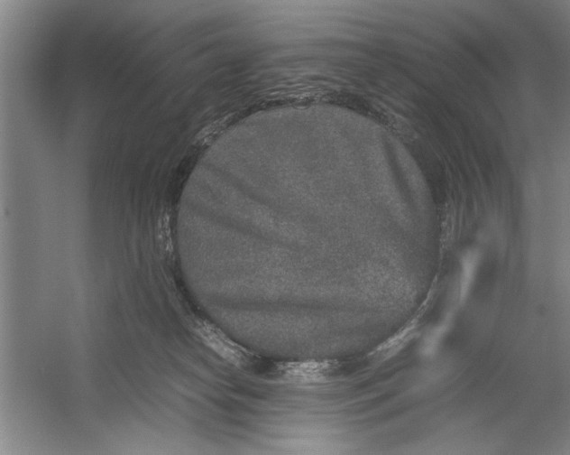 X0000054370182200508191856