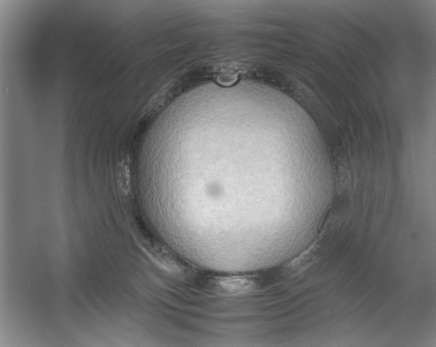 X0000054370183200508191856