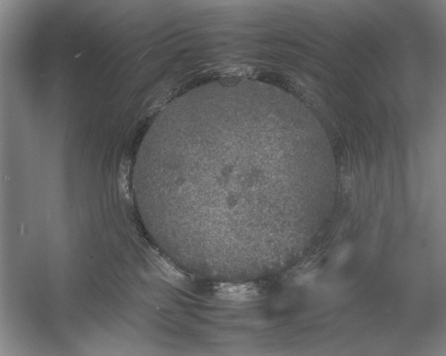 X0000054370185200508191856