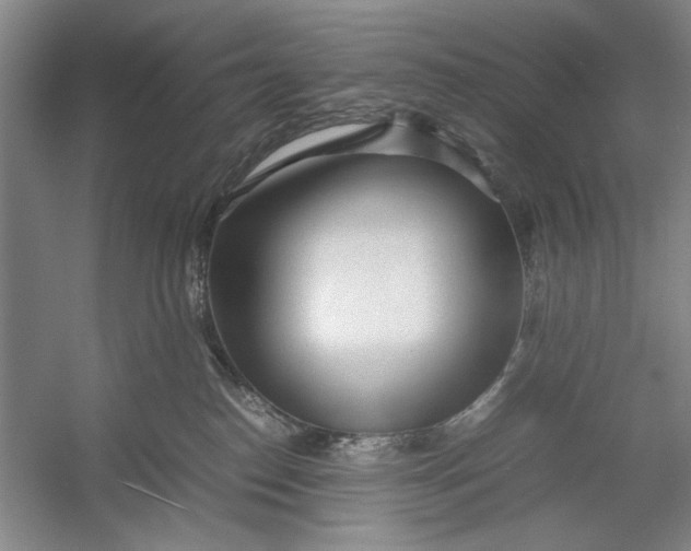 X0000054370186200508191856