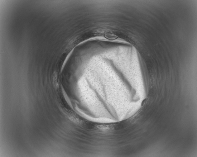 X0000054370187200508191856