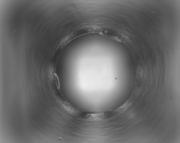 X0000054370188200508191856