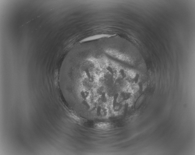 X0000054370189200508191856