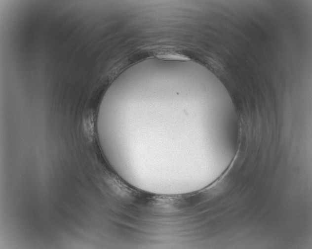 X0000054370190200508191856