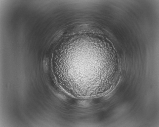 X0000054370191200508191856