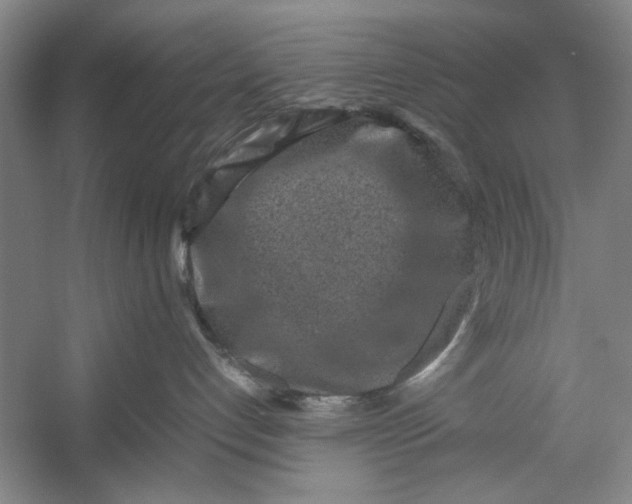 X0000054370192200508191856