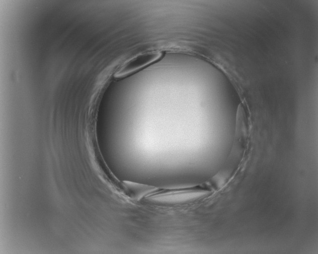 X0000054370193200508191855