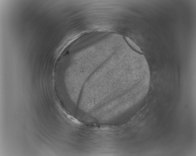 X0000054370194200508191855