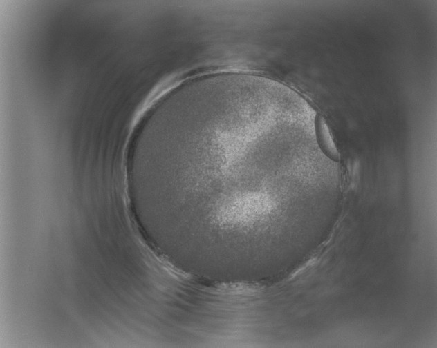 X0000054370198200508191855