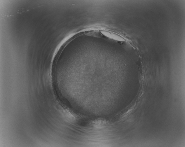 X0000054370200200508191855