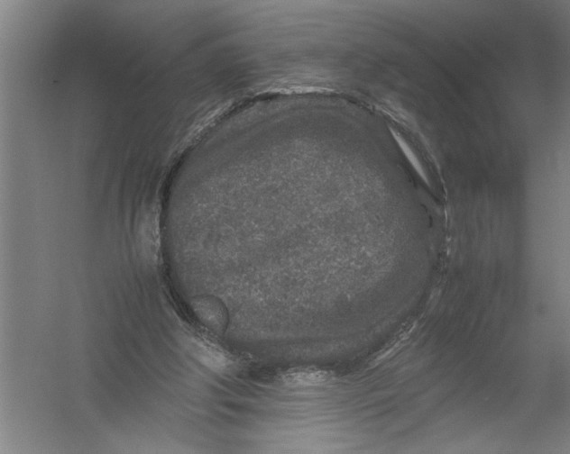 X0000054370202200508191855