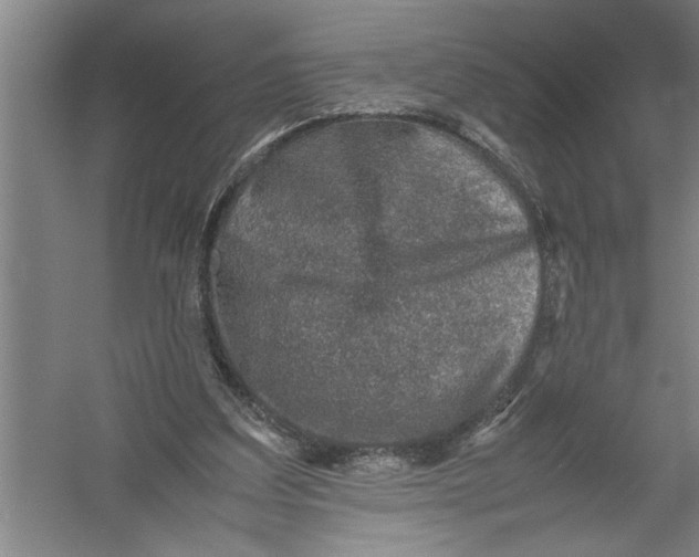 X0000054370203200508191855