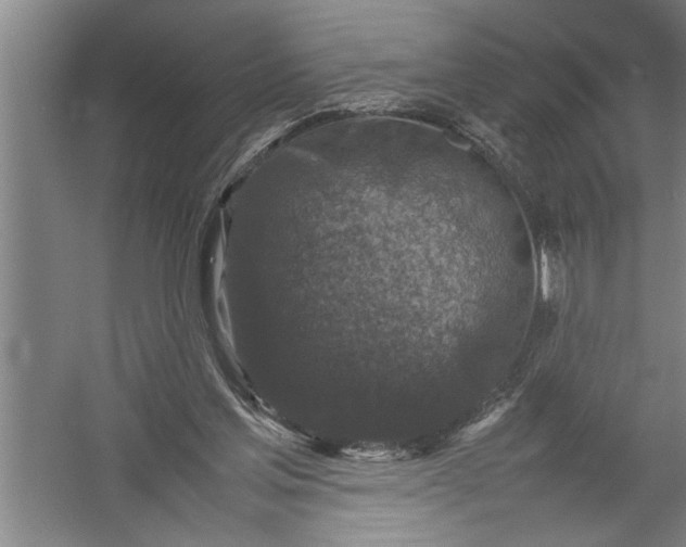 X0000054370205200508191855