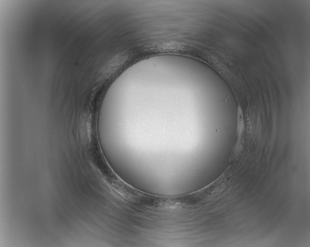 X0000054370206200508191855