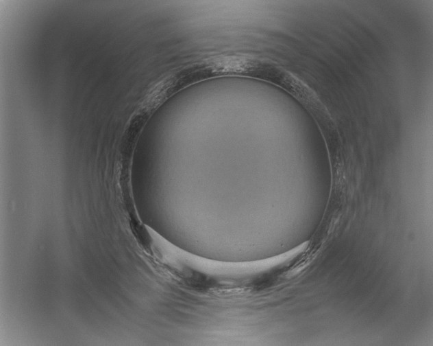 X0000054370209200508191855