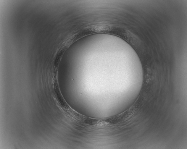 X0000054370210200508191855