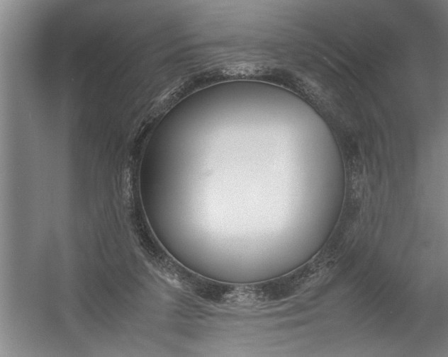 X0000054370211200508191855