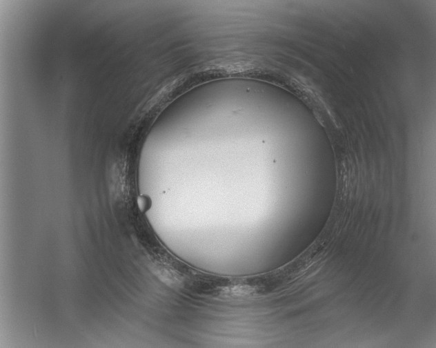 X0000054370212200508191855