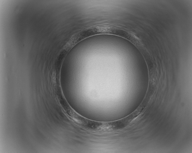 X0000054370213200508191855