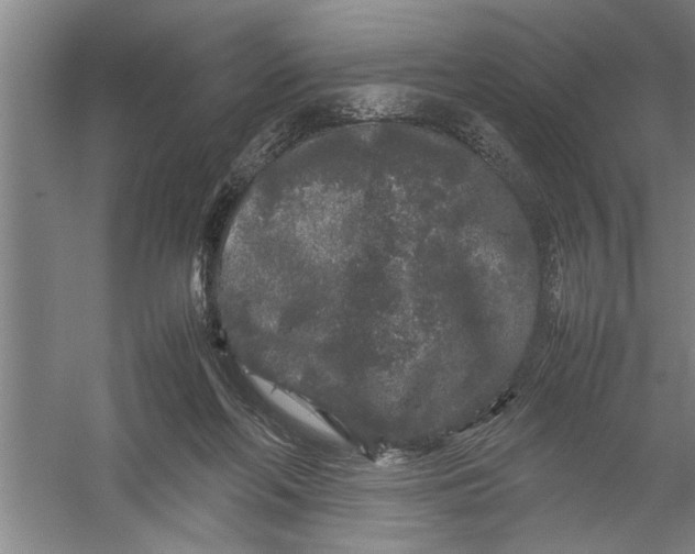 X0000054370214200508191855