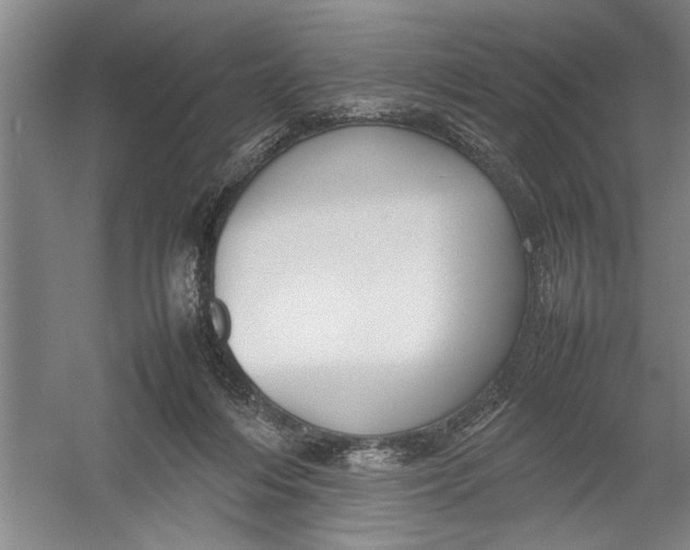 X0000054370216200508191855