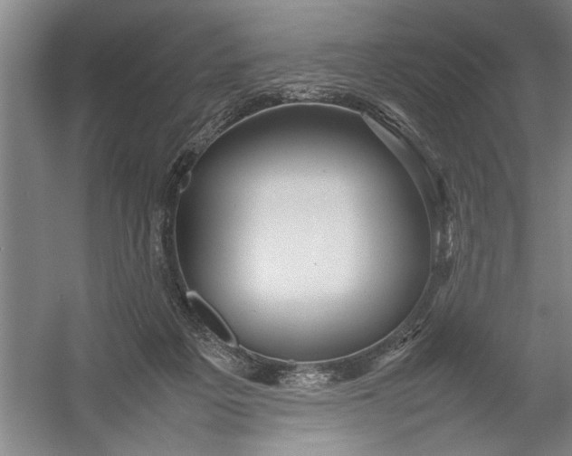 X0000054370217200508191855