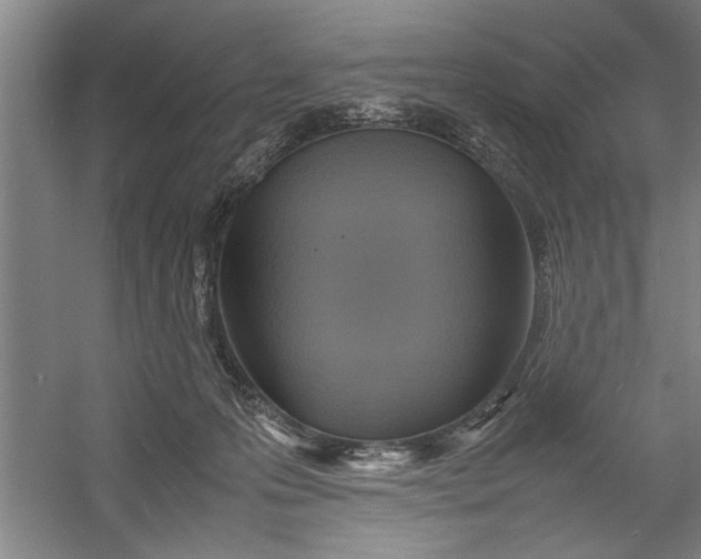 X0000054370223200508191855