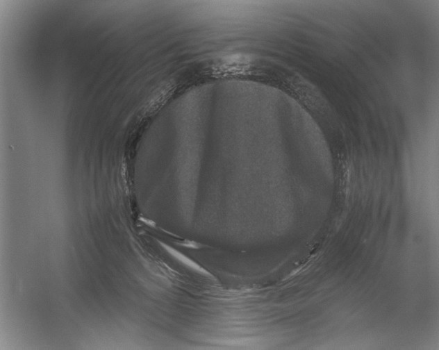 X0000054370224200508191855