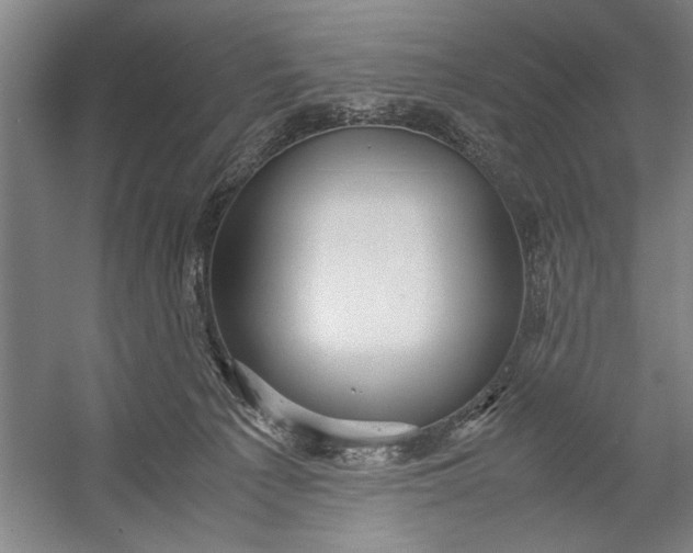 X0000054370225200508191855