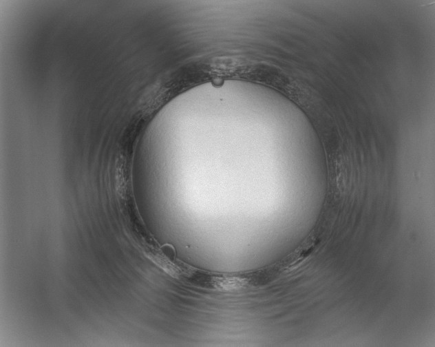 X0000054370226200508191855